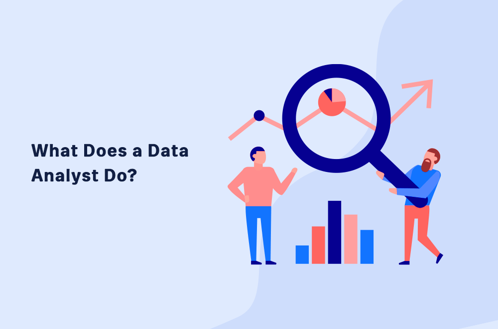 who are data analysts and what do they do?
